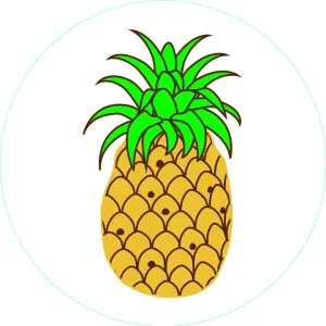 Bogg? Bit - Pineapple