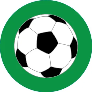 Bogg? Bit - Soccer
