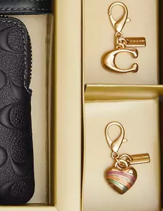 Coach Boxed Corner Zip Wristlet In Signature Leather