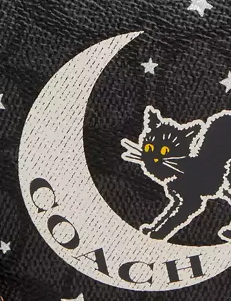 Coach Corner Zip Wristlet In Signature Canvas With Halloween Graphic