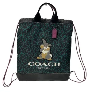 Coach Disney Collab Terrain Wave Backpack