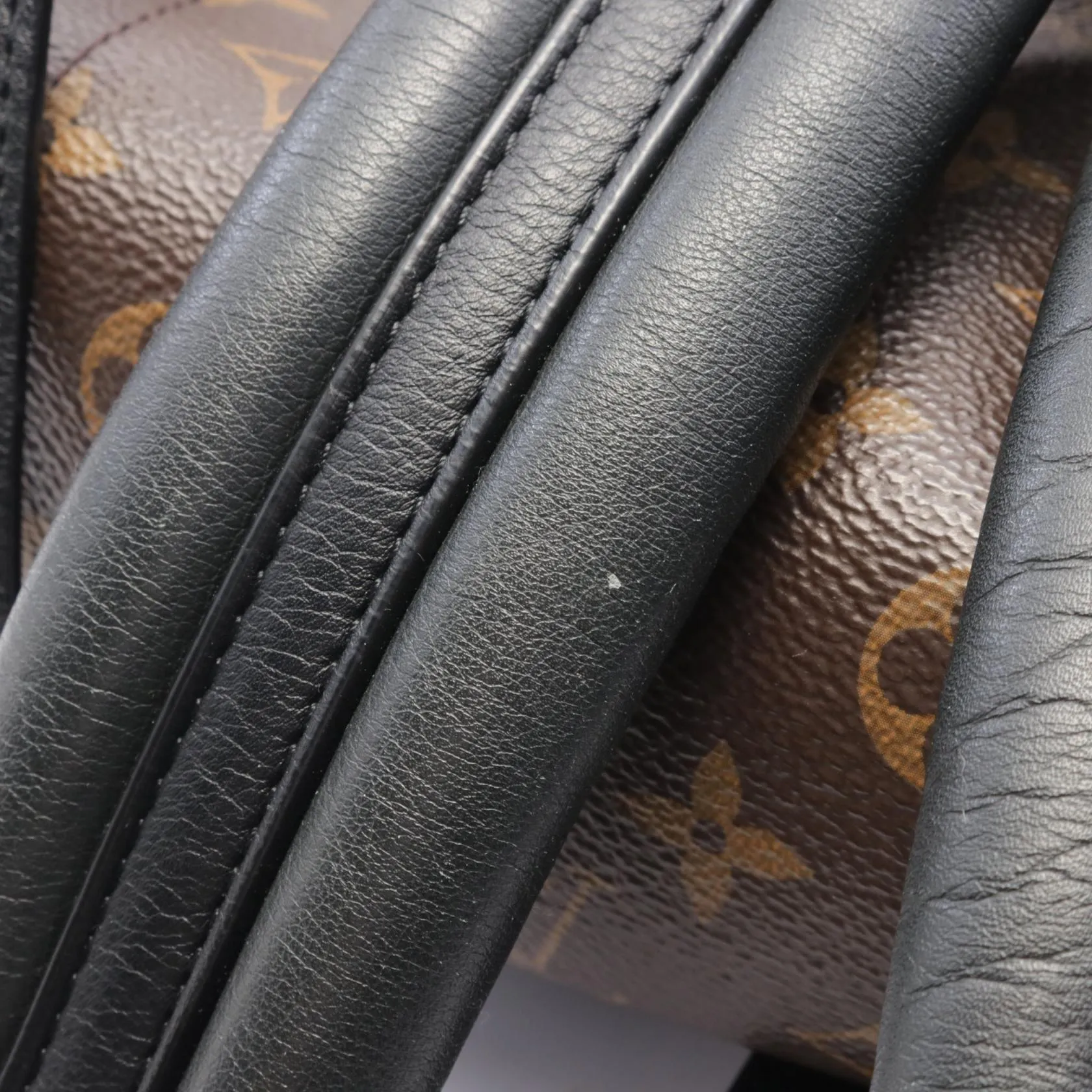 Louis Vuitton Monogram Palm Springs Backpack MM