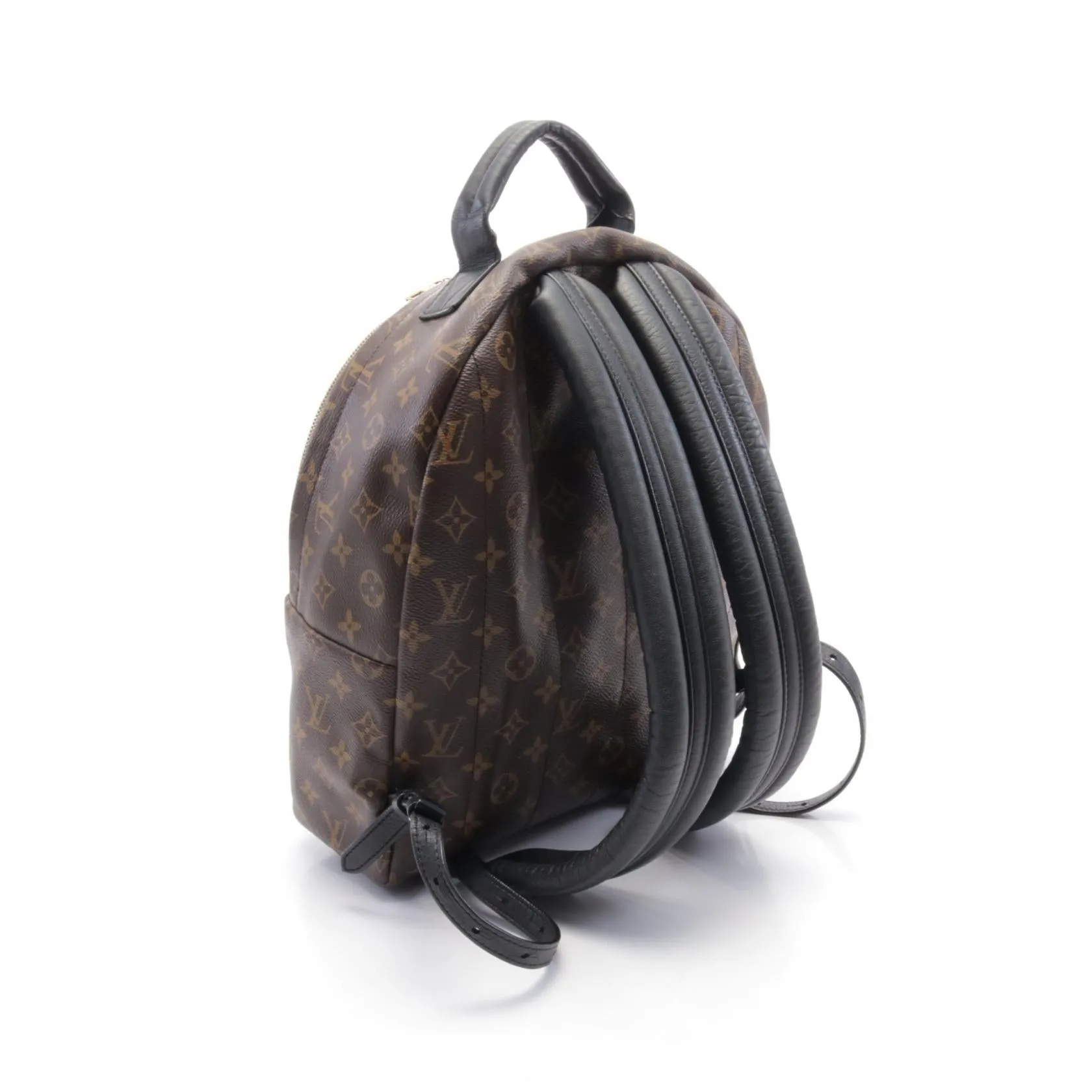 Louis Vuitton Monogram Palm Springs Backpack MM