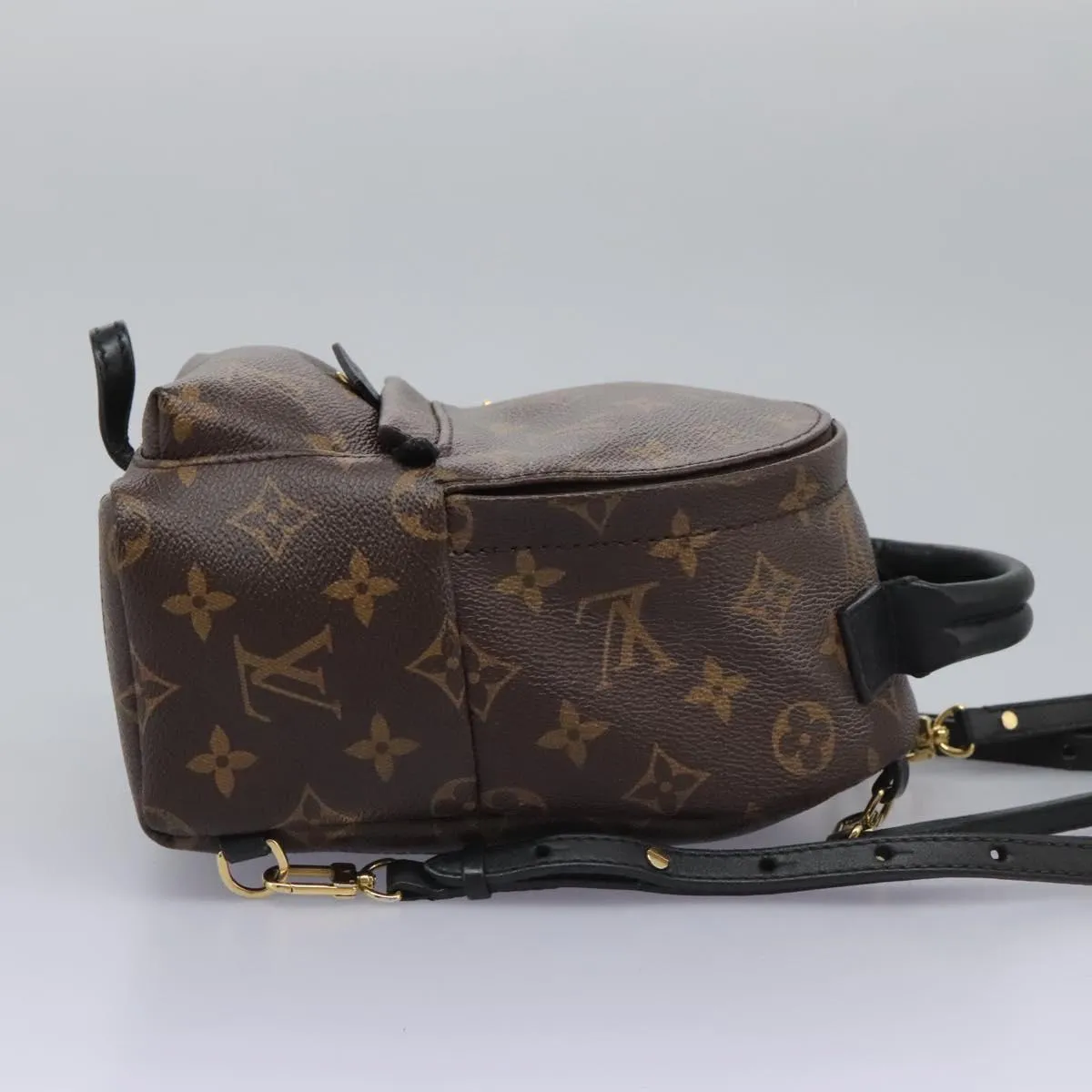 Louis Vuitton Palm Springs Mini Canvas Backpack Bag (Pre-Owned)