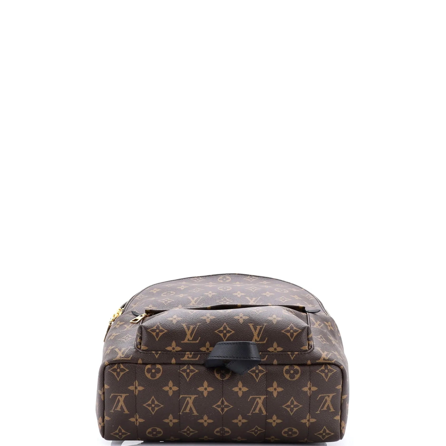 Palm Springs Backpack Monogram Canvas MM
