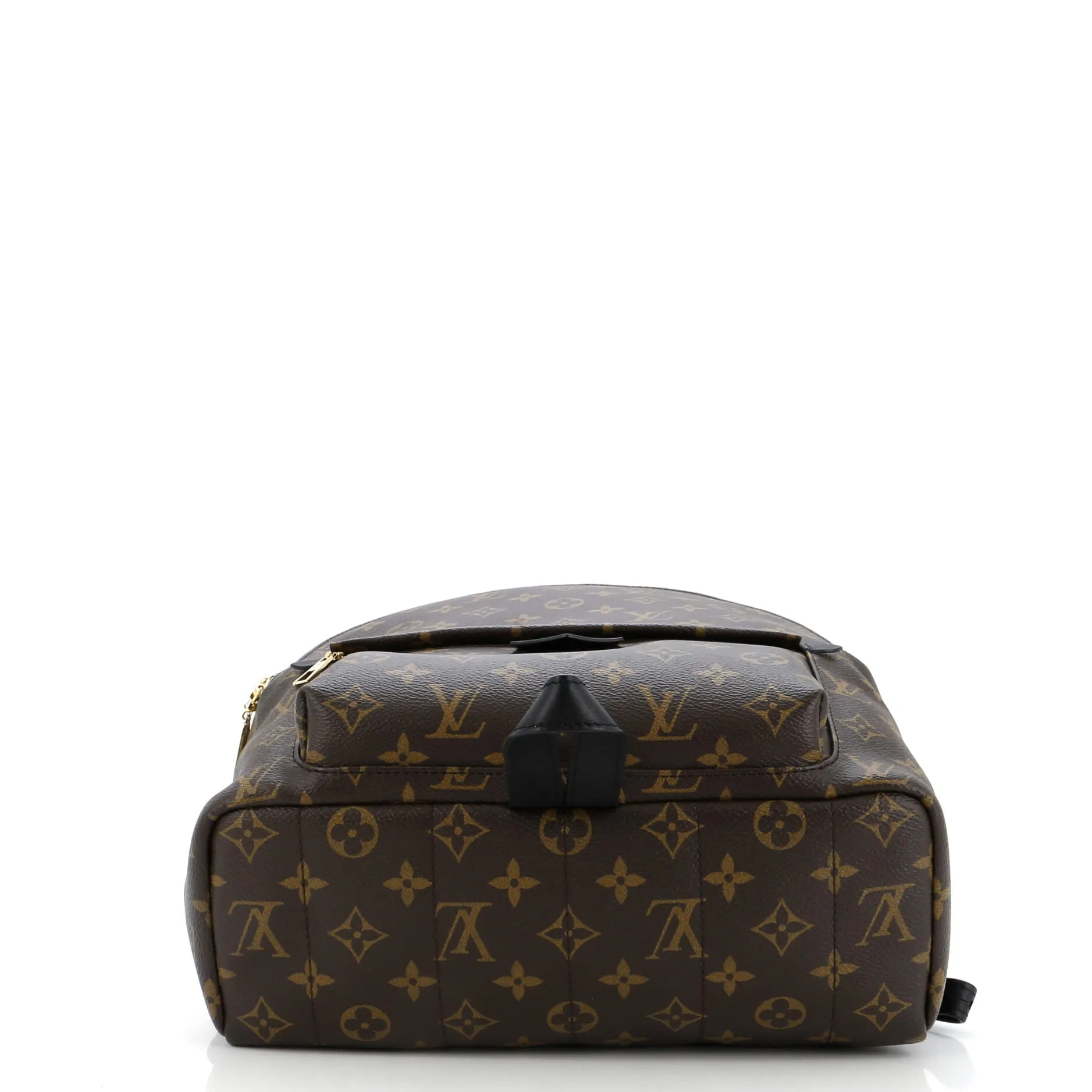 Palm Springs Backpack Monogram Canvas MM