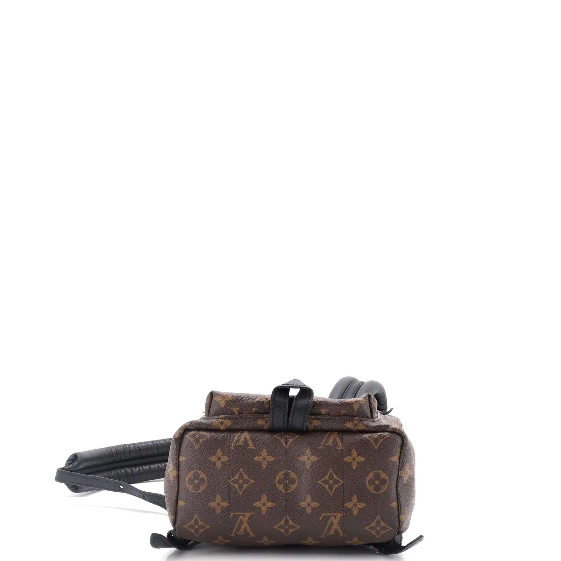 Palm Springs Backpack Monogram Canvas PM
